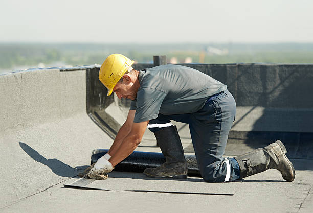 Best Commercial Insulation in Ridgewood, IL