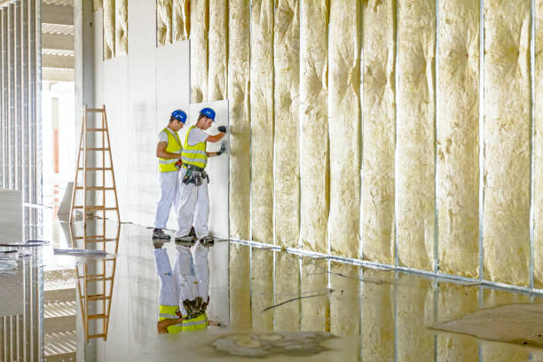 Best Insulation for Specific Applications in Ridgewood, IL